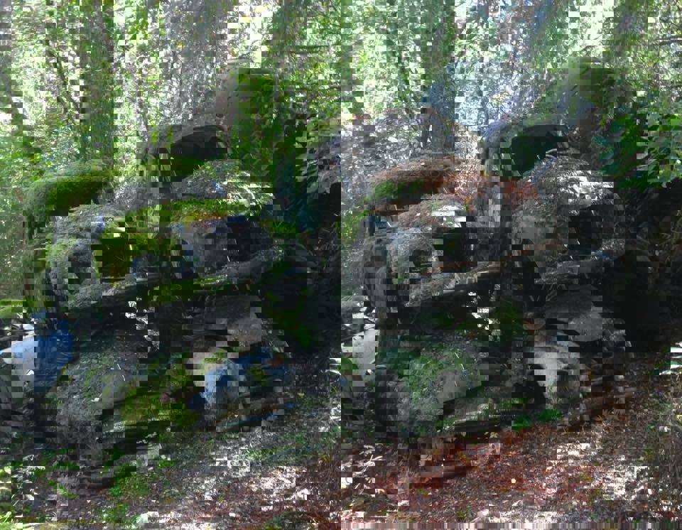 Båstnesskroten er verdt et besøk