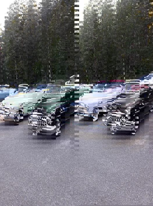 Yrende liv på Tyrigrava